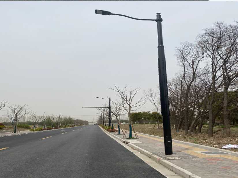 什邡市上海综合杆 太阳能路灯工程